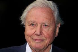 David Attenborough named COP26 People’s Advocate ahead of key climate summit