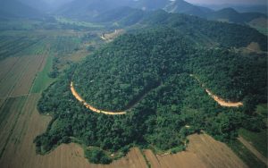 Habitat Loss – How Native Species will survive? 5 Habitat Loss – How Native Species will survive? 5