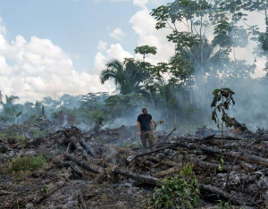 Loss of Tropical Rainforests 5