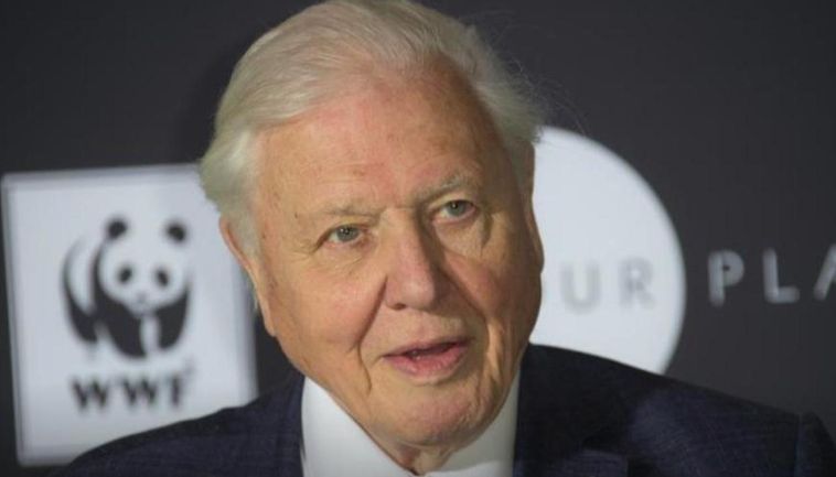 David Attenborough Says World Will Soon See Challenges ‘more Severe’ Than COVID-19