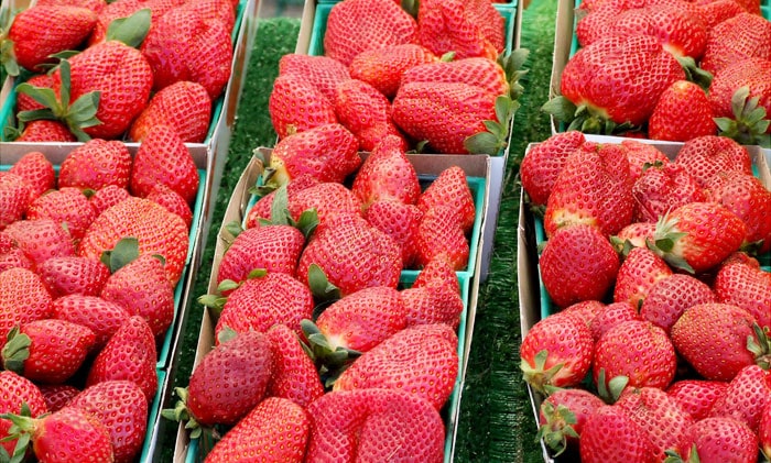 Top 10 Summer Fruits and Veggies