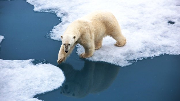 Stellenbosch University school for climate studies to open in June