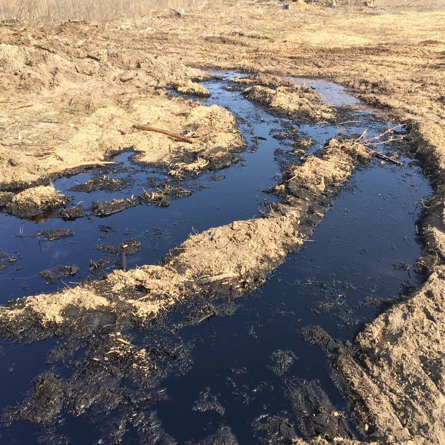 Bioremediation – Meaning and Significance