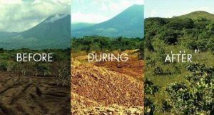 Bioremediation – Meaning and Significance 3