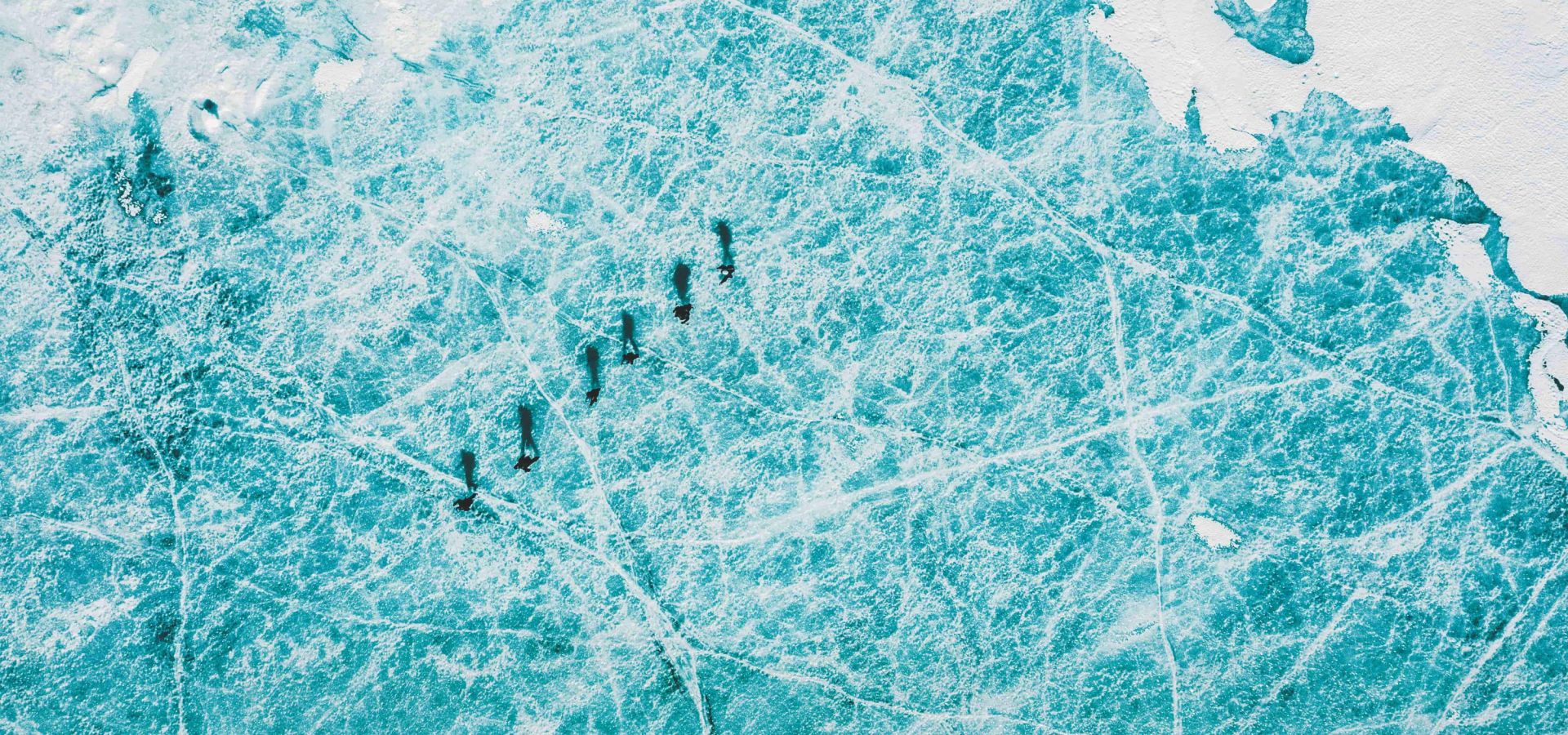 The greatest wilderness of all: exploring Antarctica