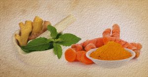 Top 6 Herbs For Immunity Building: What Ayurveda Says 1