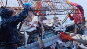 Impact of Overfishing 1 Impact of Overfishing 1