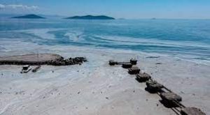 World Oceans Day 2021: Health of oceans matters to you. Here is why 1