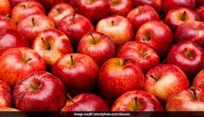 Innovative Farmer Grows Apples In Maharashtra’s Nashik District