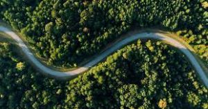 36 Global Biodiversity Hotspots; List, Importance, Examples 1