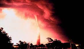 Ever wondered how do Cyclones get their names? WION explains.