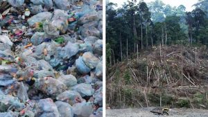 A General Read - Climate change Impacts 5