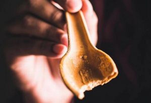 Chew on some dinner plates 1 Chew on some dinner plates 1