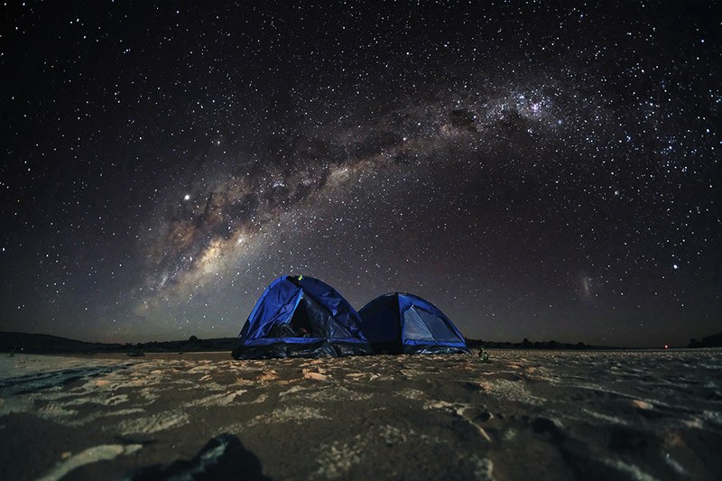 The Adverse Ecological Impacts of Light Pollution: LEDs’ Role in Mitigation