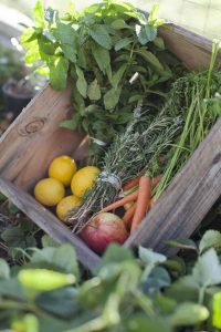 Being Sustainable in the Kitchen 4 Being Sustainable in the Kitchen 4