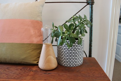 JADE PLANT BENEFITS | ADVANTAGES OF GROWING JADE PLANT