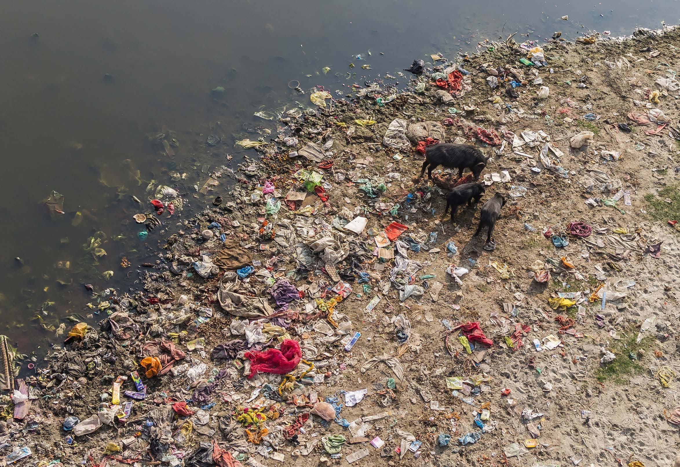 High Concentration Of Plastics And Microplastics In Ganga: Study