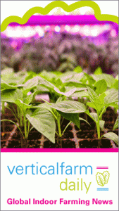 Organic farming battle pits aquaponics and hydroponics against soil farms 1