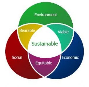 Sustainable Engineering and Sustainability 3