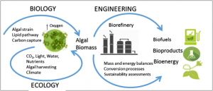Biorefinery – Technology for Better Future! 4