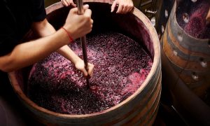 The Winemaking Process and what Influences its Taste 4 The Winemaking Process and what Influences its Taste 4