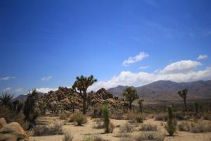 25 Most Beautiful Places in the World 16