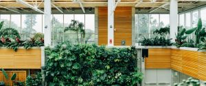 Top 10 Benefits of Living Green Walls or Vertical Gardens 1