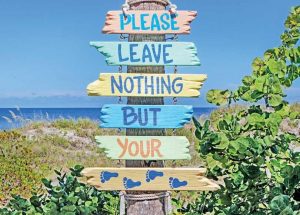 Eco-friendly resort/sustainable tourism 8