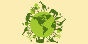 Top 5 conservation Projects for Wildlife in India 1