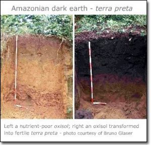 Back to the Future: Terra Preta – Ancient Carbon Farming System for Earth Healing in the 21st Century 1