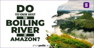 Do you know about the boiling river of Amazon? 1 Do you know about the boiling river of Amazon? 1
