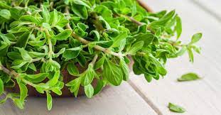 What Is Marjoram? Benefits, Side Effects, and Uses