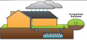TOP 6 WAYS TO CONSERVE WATER 2