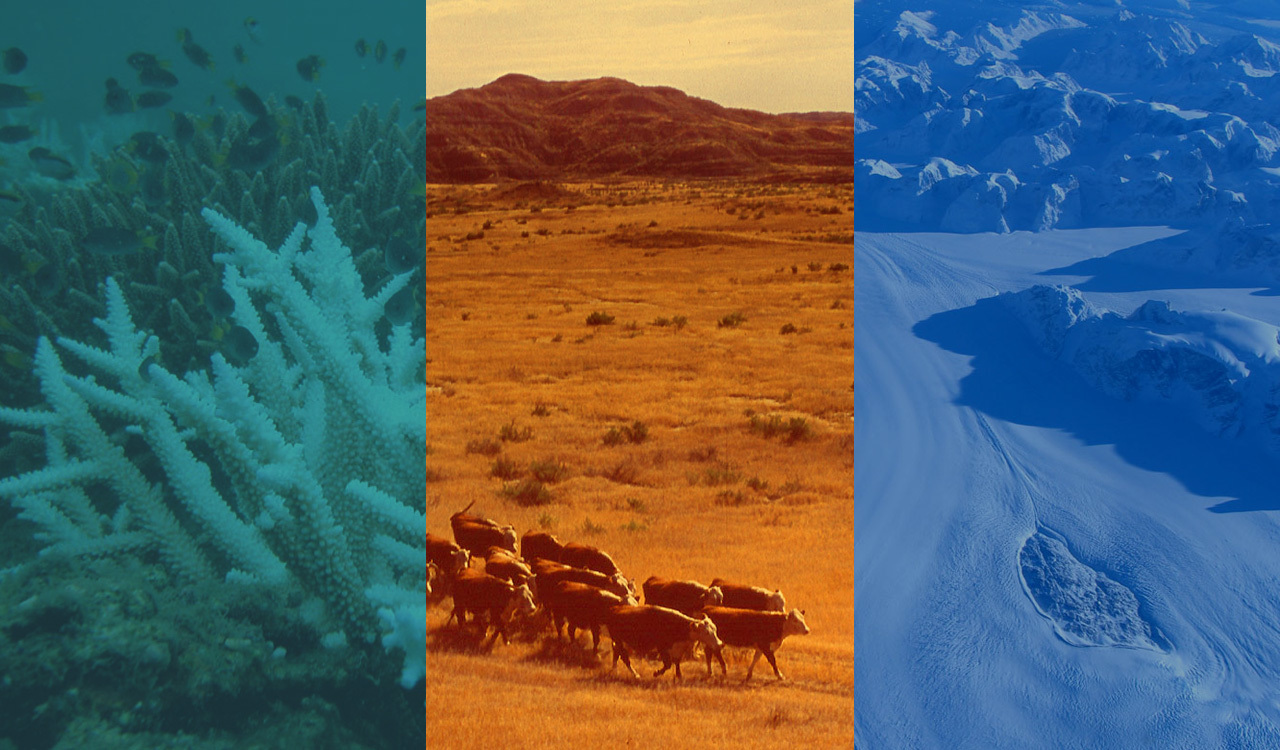 A Degree of Concern: Why Global Temperatures Matter