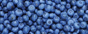 Biological Blueberries are World Beaters 1