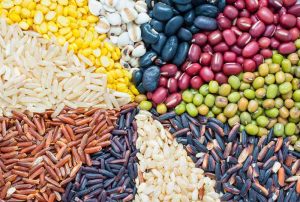 VEGETARIAN PROTEIN
