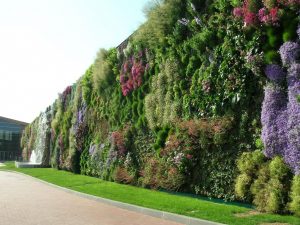 VERTICAL GARDENS: Green version of beauty with brain. 2