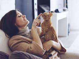 Brought Home A New Pet? Here’s How To Bond With It