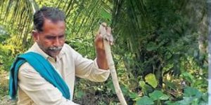 Zero budget, bumper crop - all thanks to natural farming 1