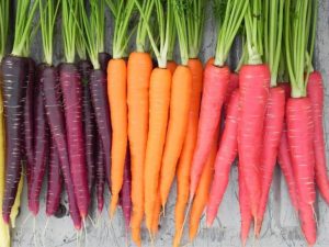 AUTUMN/PRE-WINTER SOWINGS 4