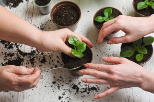 Top 10 ways to make your home Eco-Friendly 3