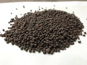 How is PROM a perfect Substitue of DAP? 3 How is PROM a perfect Substitue of DAP? 3