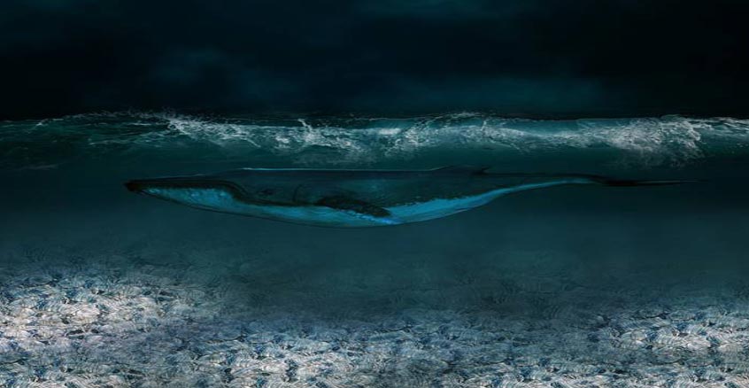 Why is plastic waste management important?