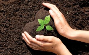 REGENARATIVE AGRICULTURE : SUSTAINABLE FARMING FASHION 3 REGENARATIVE AGRICULTURE : SUSTAINABLE FARMING FASHION 3