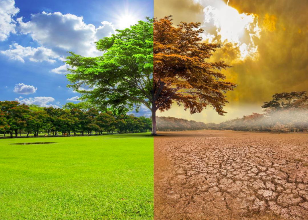 Climate Change and how can YOU fix it