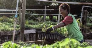 50 Tips To Cut Down Your Carbon Footprint