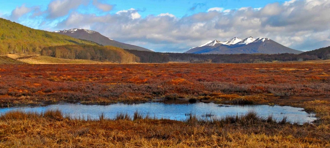 Peatlands and Why are they important given today’s development?
