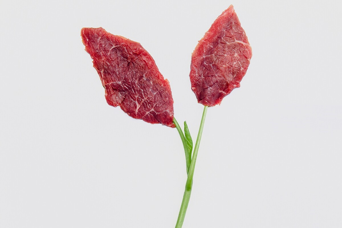 Food Engineering: Plant based Meat