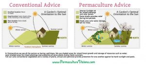 Permaculture : Regenerative Farming 2