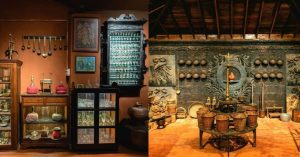 India’s first Food Museum 2 India’s first Food Museum 2